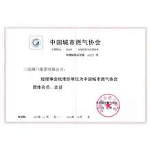 中国城市燃气协会